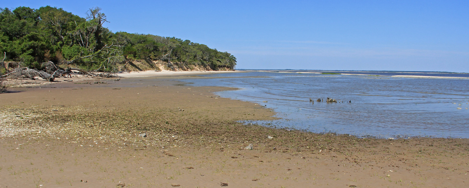 Vegetated land and sand beach along coast