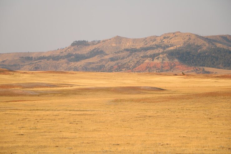 Dry pasture in South Dakota