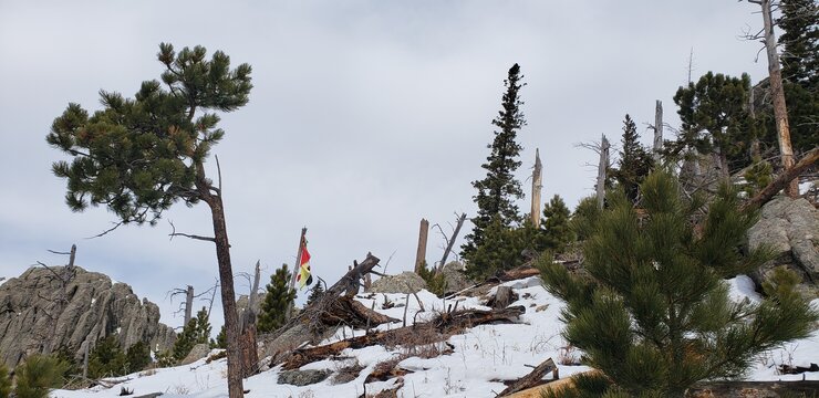 Evergreen shrubs rise from a snow-covered hill, featuring native prayer flags tied to a tree or post