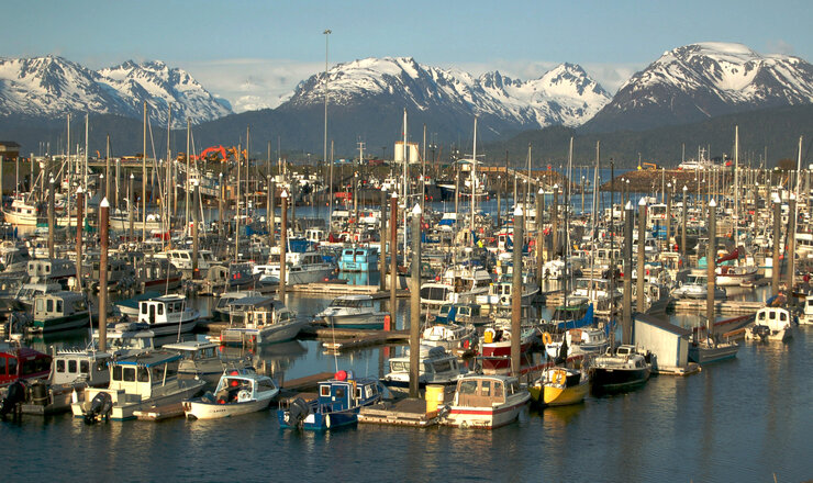 Homer harbor