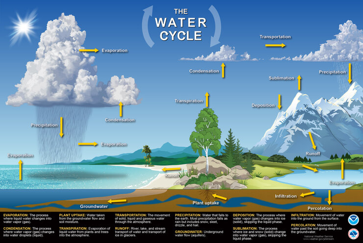 Water Cycle Diagram