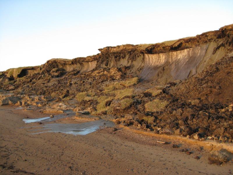 Photo of collapsed shoreline on Alaska's Bering Sea coast