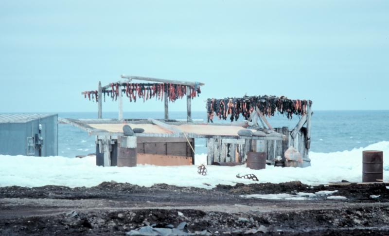 Rows of meat on racks built above small buildings along the coast