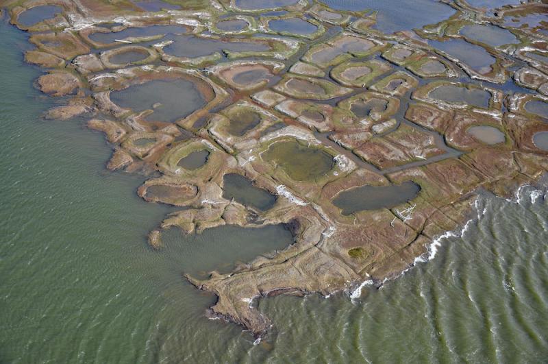 Honeycomb-pattern of land and water at sea level