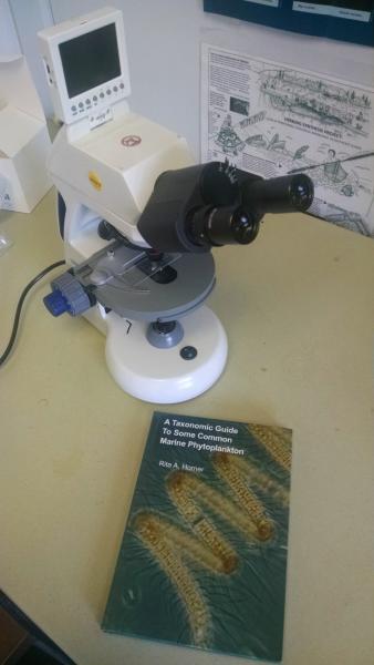 Digital microscope