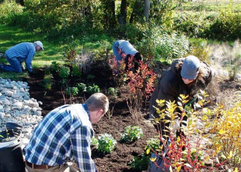 People planting bushes