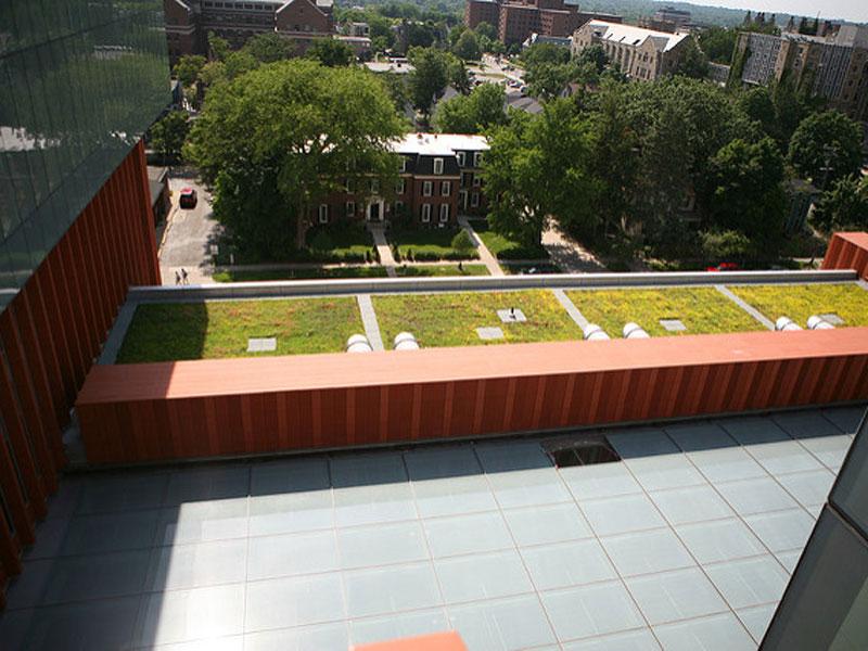 A green roof at the University of Michigan's Ross School of Business