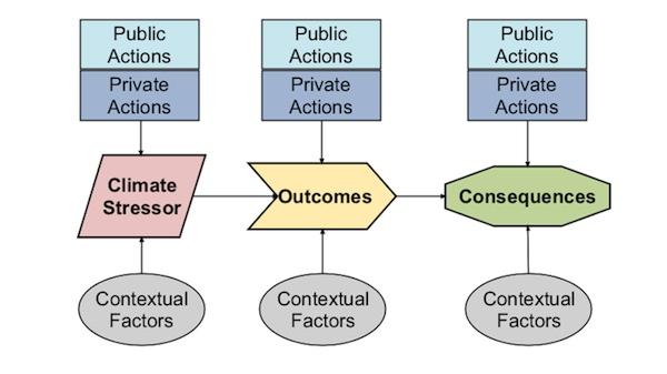 Diagram showing building blocks of the VCAPS process