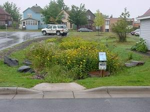 Rain Garden