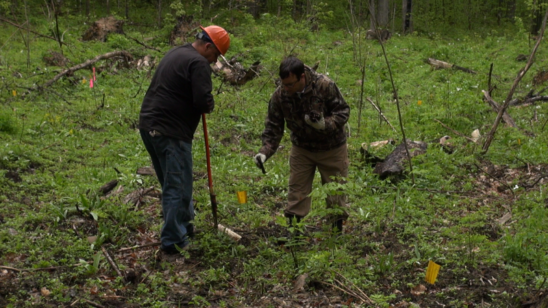 Photograph showing two men standing on a forest floor.