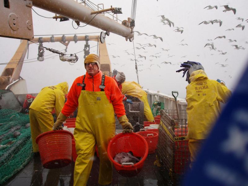 Rubber-suited man carrying baskets of fish on a ship. Seagulls flying in the background.