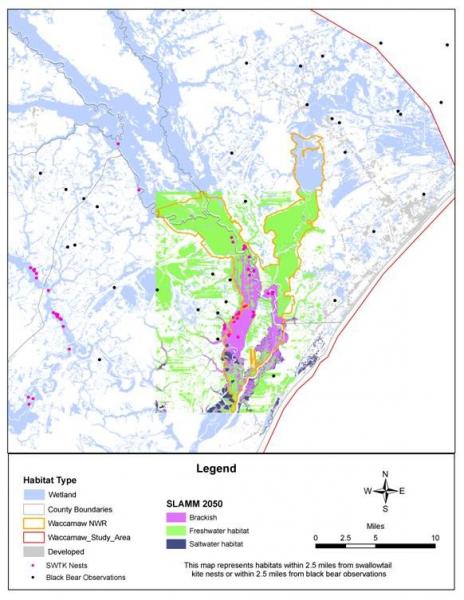 Map Showing Model Outputs for Portions of the Waccamaw National Wildlife Refuge