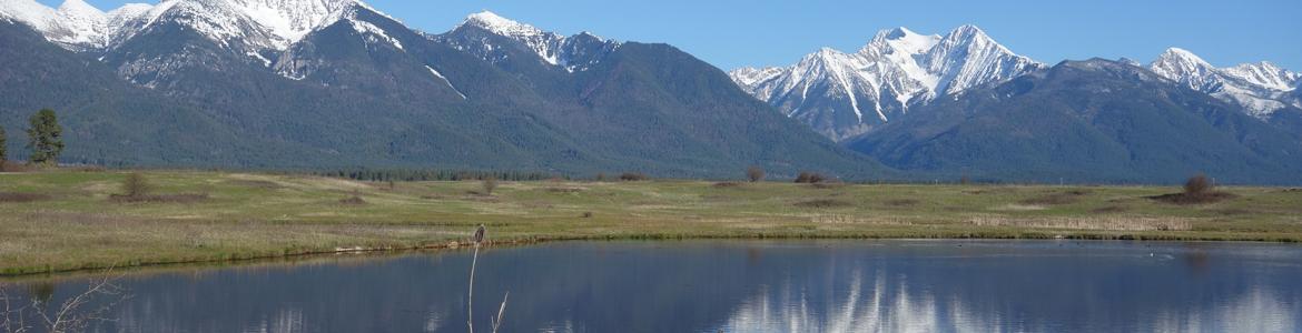 Landscape with a lake in the foreground and snow-covered mountains in the background