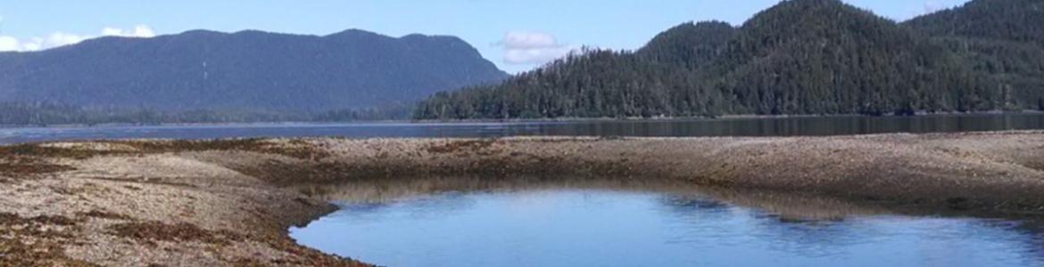 Starrigaven Beach, Sitka, Alaska