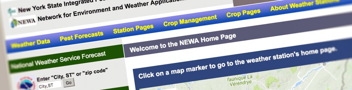 Screen capture of the NEWA home page